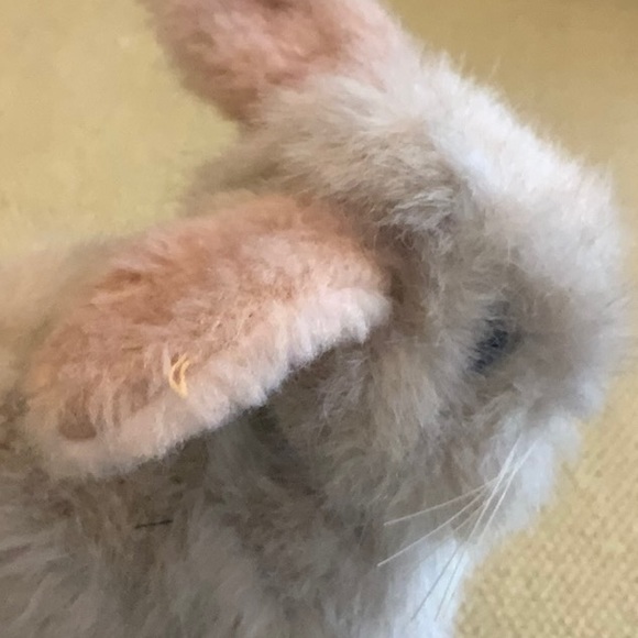 Steiff Vintage Germany Mini- Rabbit with Tag- 5”- Mohair - Picture 8 of 8